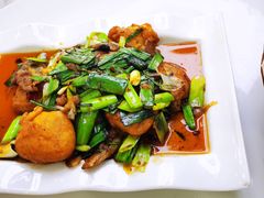 -熊猫主题餐厅