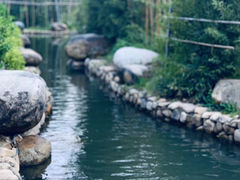 -诗经里