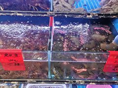 -金海湾海鲜排档(朱家尖店)