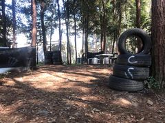 -铁山坪森林公园