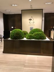 点击看大图 -广州文华东方酒店·水疗中心