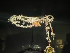 -美国自然历史博物馆