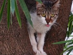 -苏州河梦清园环保主题公园