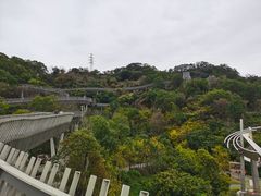 -福道