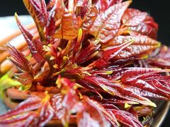 -椒小兔·盐帮川菜中餐厅(金沙时代广场店)