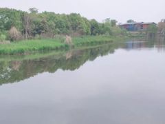 -白鹭湾湿地公园