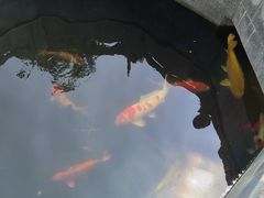 -西安市广仁寺