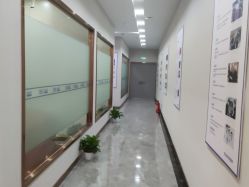 -碧莲盛·不剃发植发