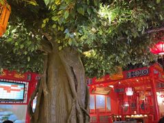 -渔港烤鱼(中百广场店)
