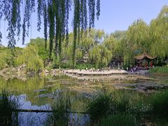 -文瀛公园
