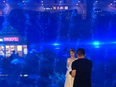 -成都浩海立方海洋公园