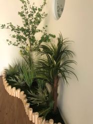 -美肌工坊皮肤管理