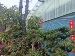 -合肥市裕丰花鸟虫鱼市场