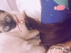 -松浦·观江国际