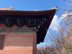 -善化寺