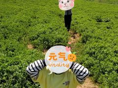 -大连铭湖国际观光牧场