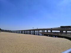 -演武大桥观景平台