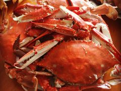 -红高粱海鲜大排档(福成路店)