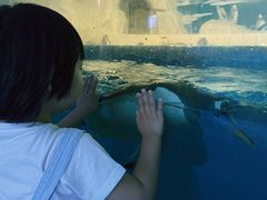 -泉城欧乐堡海洋极地世界