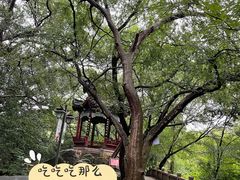 -乌山风景区