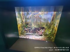 -常州海昌海洋探索馆