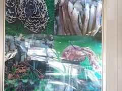 -野菌园·野生菌火锅首创第一家(关兴路总店)