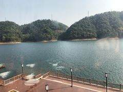 -千岛湖品鱼馆(钓鱼岛店)