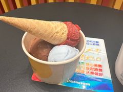 -LUNEURS月乐诗·法式冰淇淋(北外滩来福士广场店)