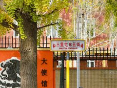 -三里屯东五街银杏大道