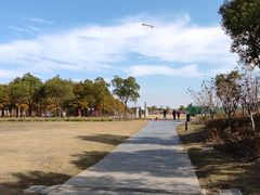 -春花秋色城市公园