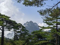 -黄山风景区