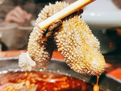 -蜀辣居鲜货老火锅(双流万达店)