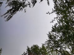 -海棠花溪(元大都城垣遗址公园)