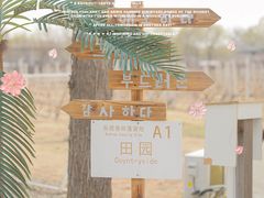 -安德鲁户外烧烤帐篷营地(马泉营店)