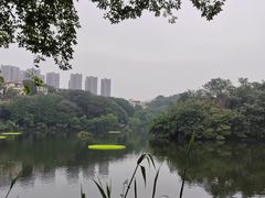 -重庆彩云湖湿地公园