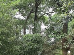 -一江春水·杭帮臻宴(三台山店)