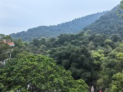 -鼎湖山风景区