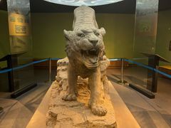 -鄂尔多斯青铜器博物馆