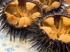 -海胆小馆(东北水饺·春柳店)