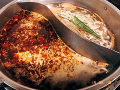 鸳鸯锅-苟味道老火锅(黄桷坪店)