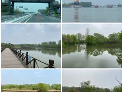 -溱湖国家湿地公园