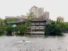 -荔湾湖公园