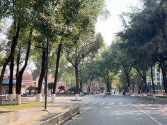 -四川大学(望江校区)