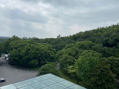 -上海佘山茂御臻品之选酒店(原佘山艾美酒店)