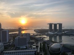 -新加坡瑞士史丹福酒店