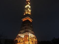 -东京塔海贼王主题公园