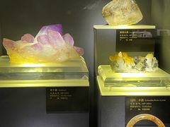 -湖南省地质博物馆