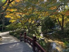 -中国茶叶博物馆(双峰馆区)