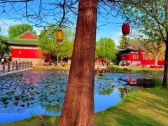 -曹州牡丹园