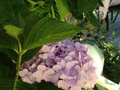 -84那年咖啡馆(李沧万达店)